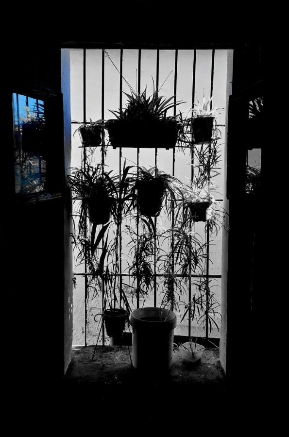 Posada Matadero Cortelazor ภายนอก รูปภาพ